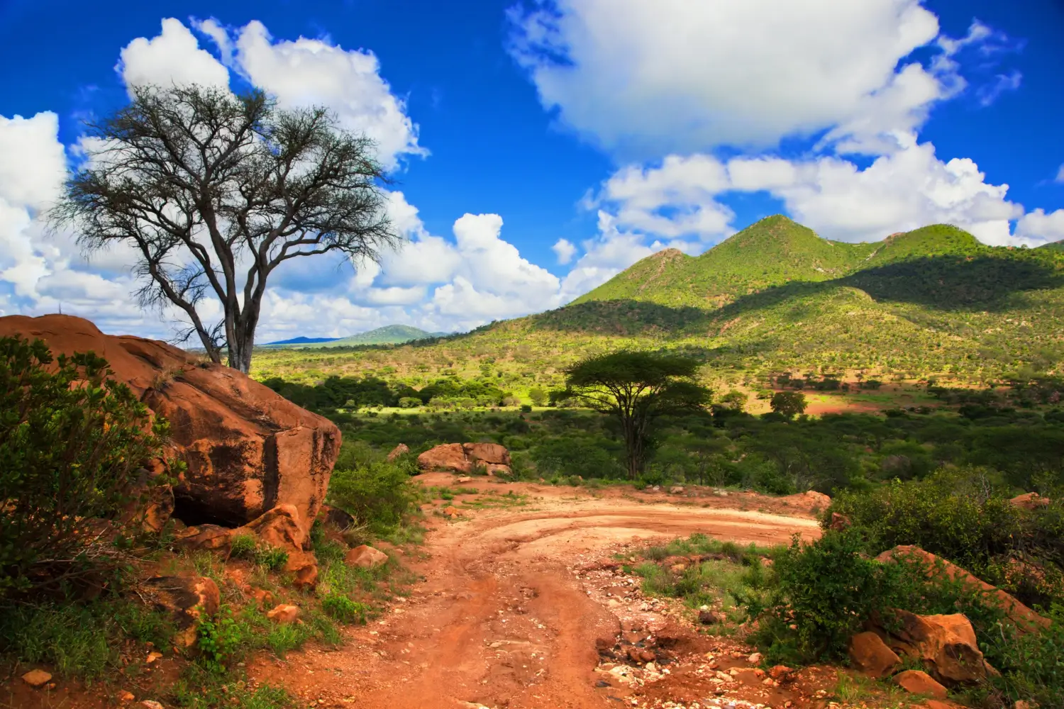 Drive to Murchison Falls